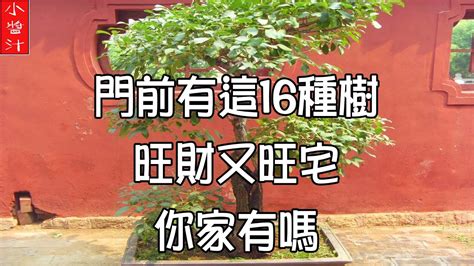 門前樹風水|【門前樹 風水方向】門前有樹的風水好不好 